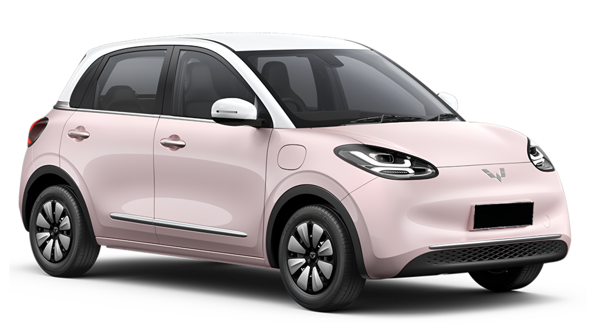 Wuling Binguo